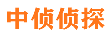 茄子河调查公司